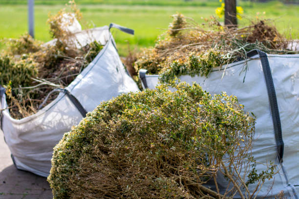Best Same-Day Junk Removal Services  in Brookings, OR
